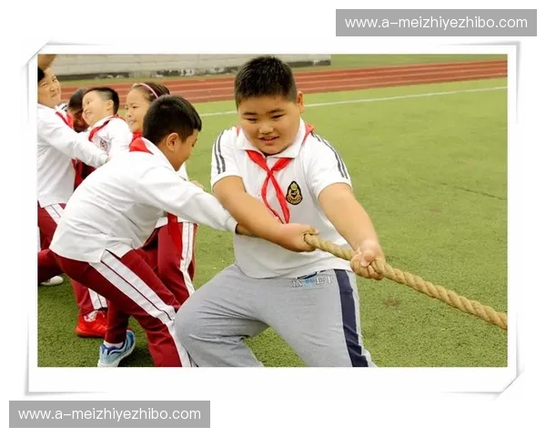 免费观看体育比赛的秘密通道，带你畅享无限精彩